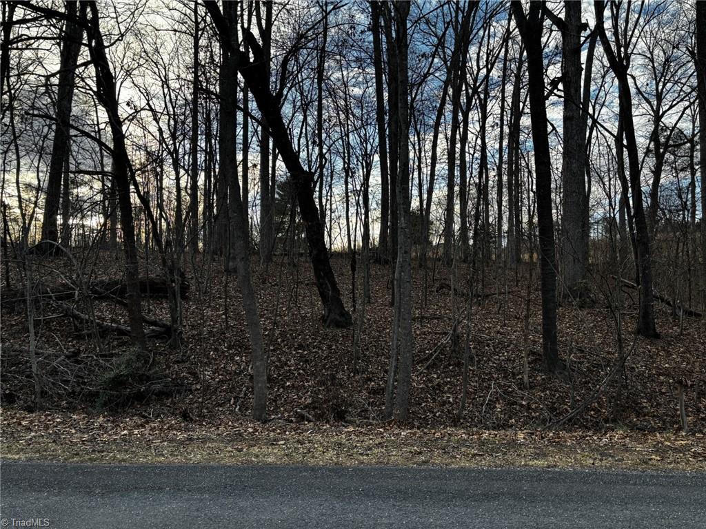 0 Regalwood Drive Property Photo 2