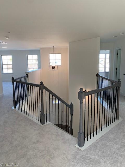 100 Diamond Circle Property Photo 14