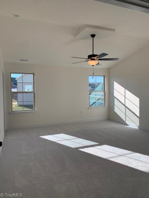 100 Diamond Circle Property Photo 16