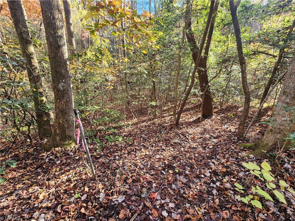 Tbd Sable Avenue Property Photo 2