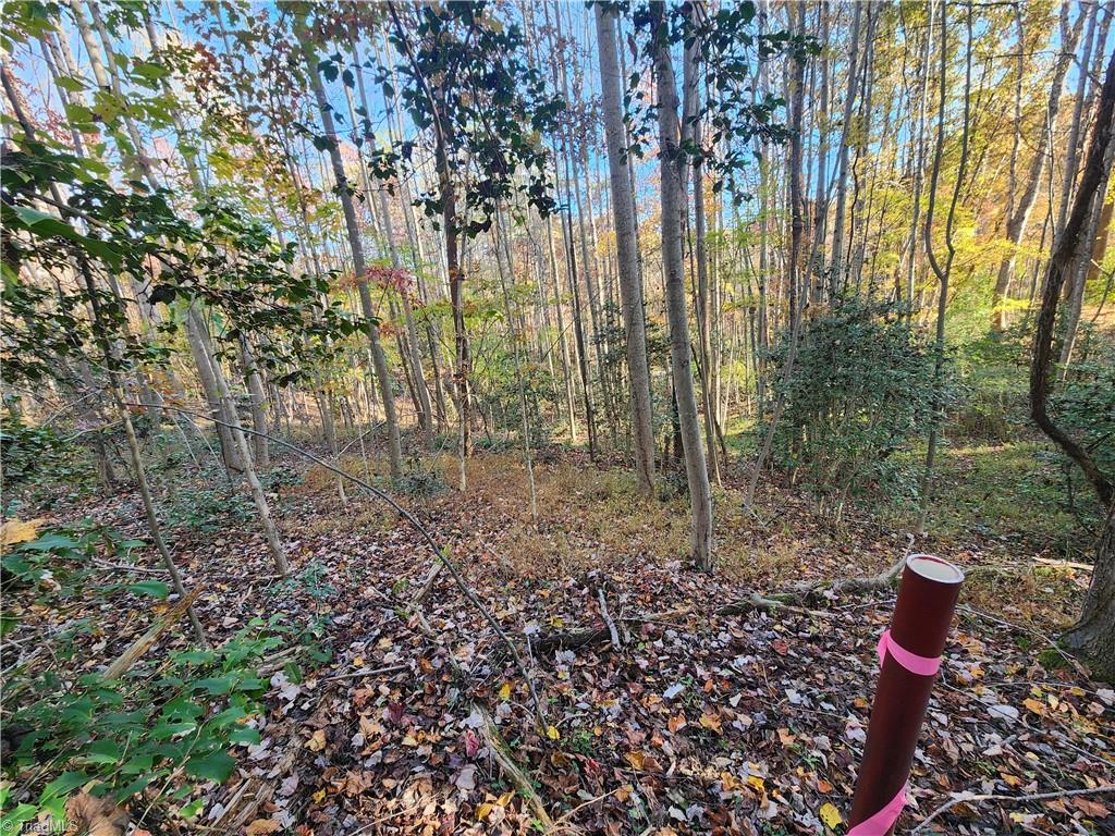 Tbd Sable Avenue Property Photo 5