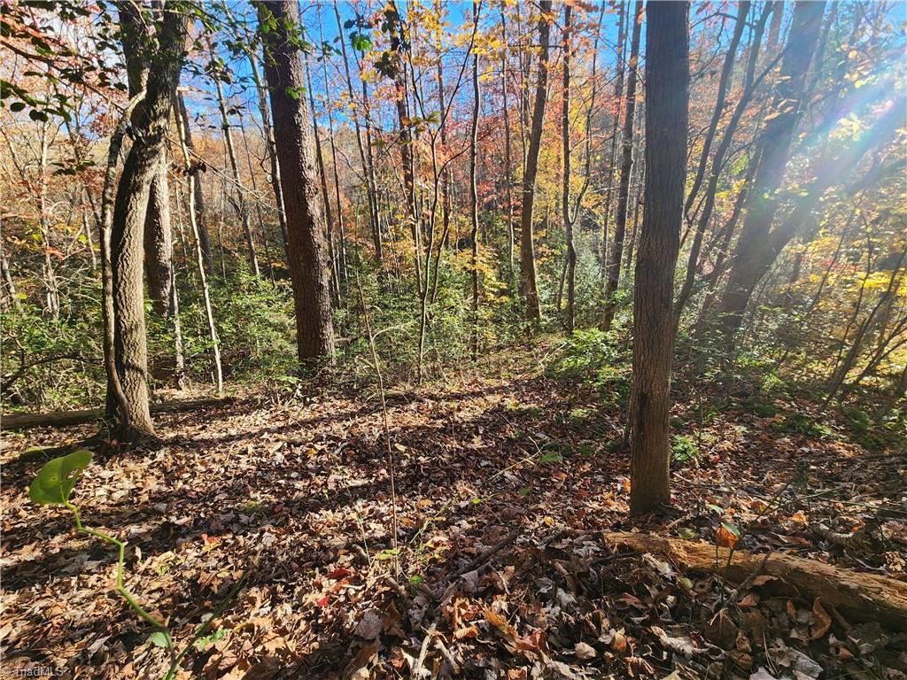 Tbd Sable Avenue Property Photo 8