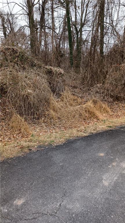 0 Frank Street Property Photo 4