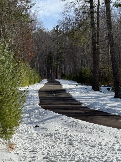 Lot 38 Sonterra Ridge Property Photo 4