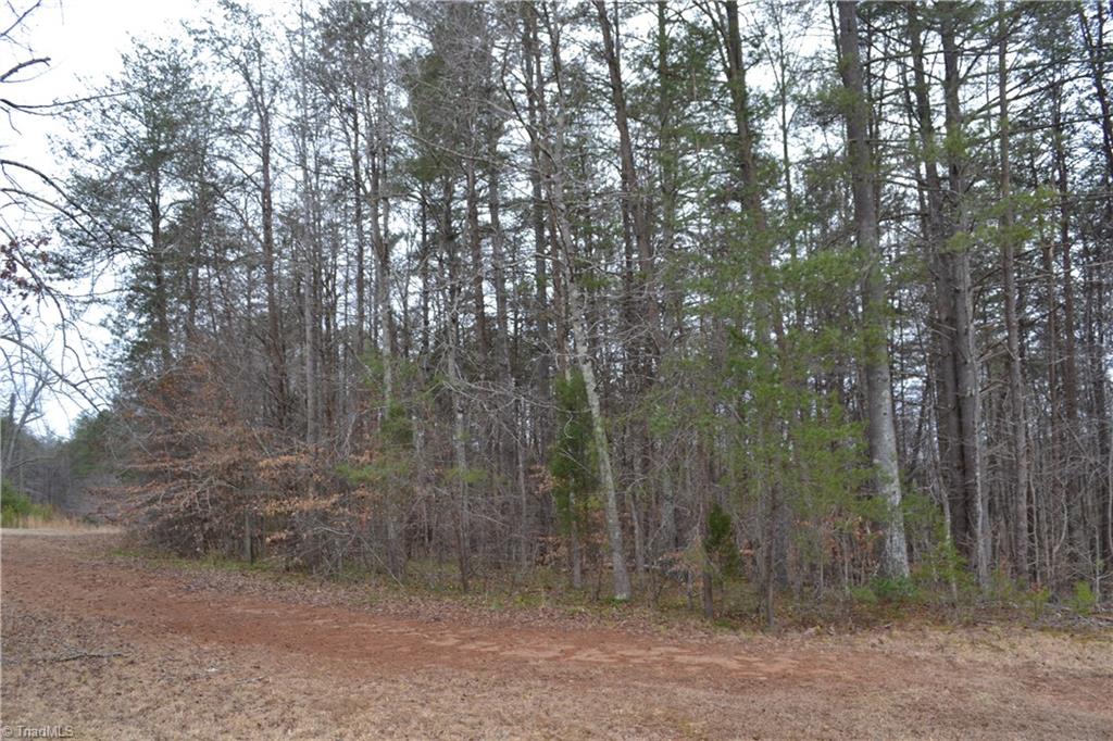 8.6 Acres Davie Lane Property Photo 6