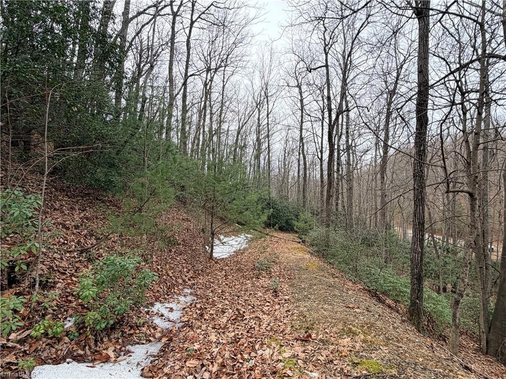 Tbd (lot 19) Wolf Den Lane Property Photo 9