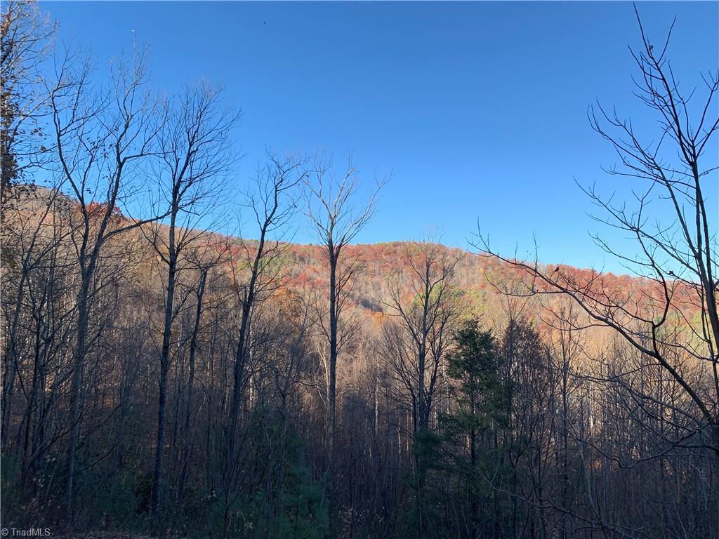 Tbd (lot 19) Wolf Den Lane Property Photo 16