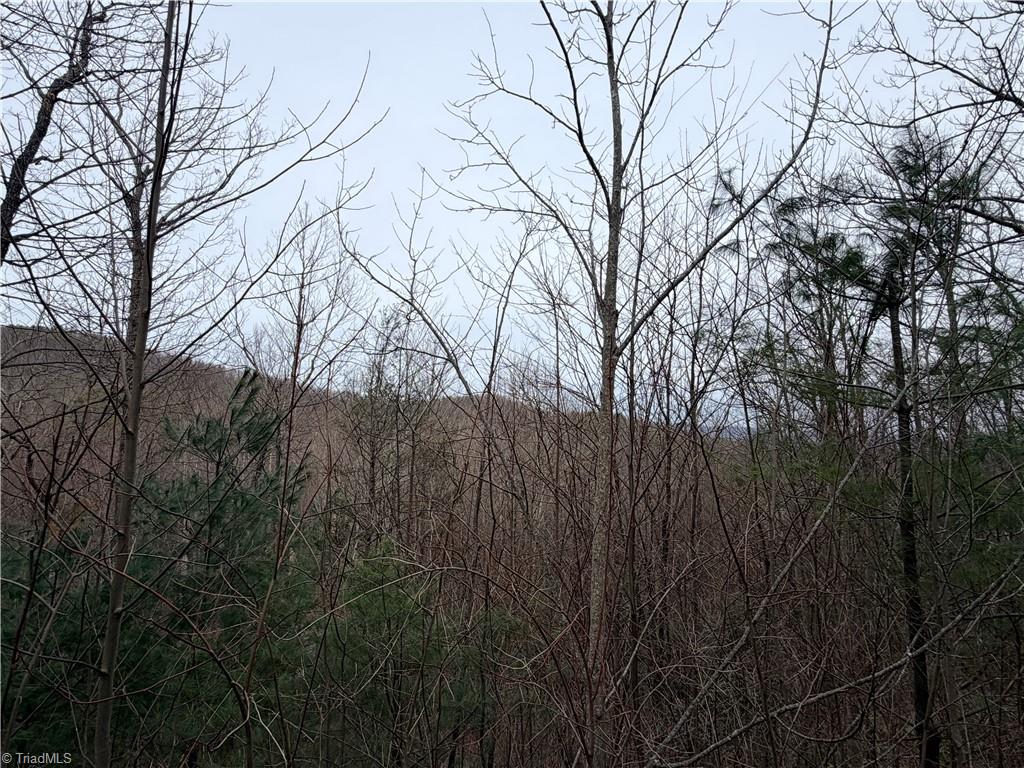 Tbd (lot 19) Wolf Den Lane Property Photo 17