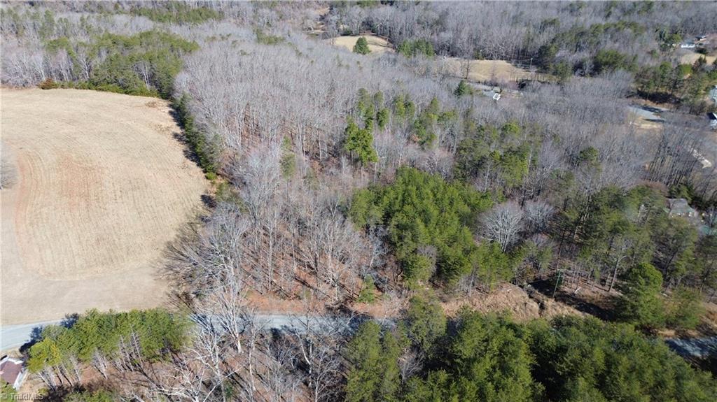 Tract G Hanging Rock Forest Road # G Property Photo 3