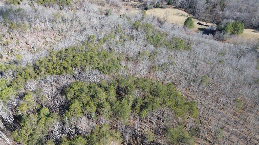 Tract G Hanging Rock Forest Road # G Property Photo 5