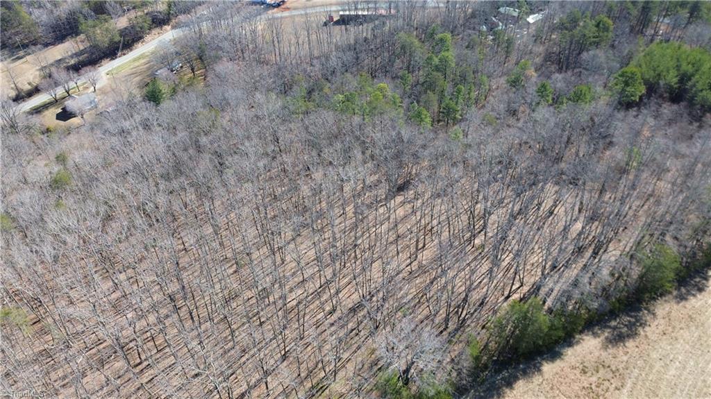 Tract G Hanging Rock Forest Road # G Property Photo 6