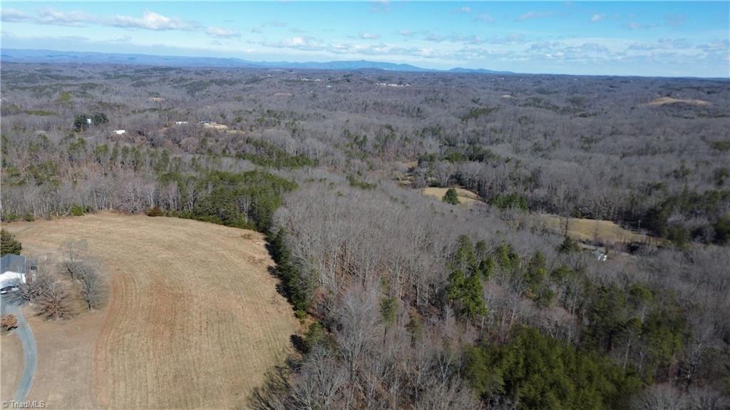 Tract G Hanging Rock Forest Road # G Property Photo 9