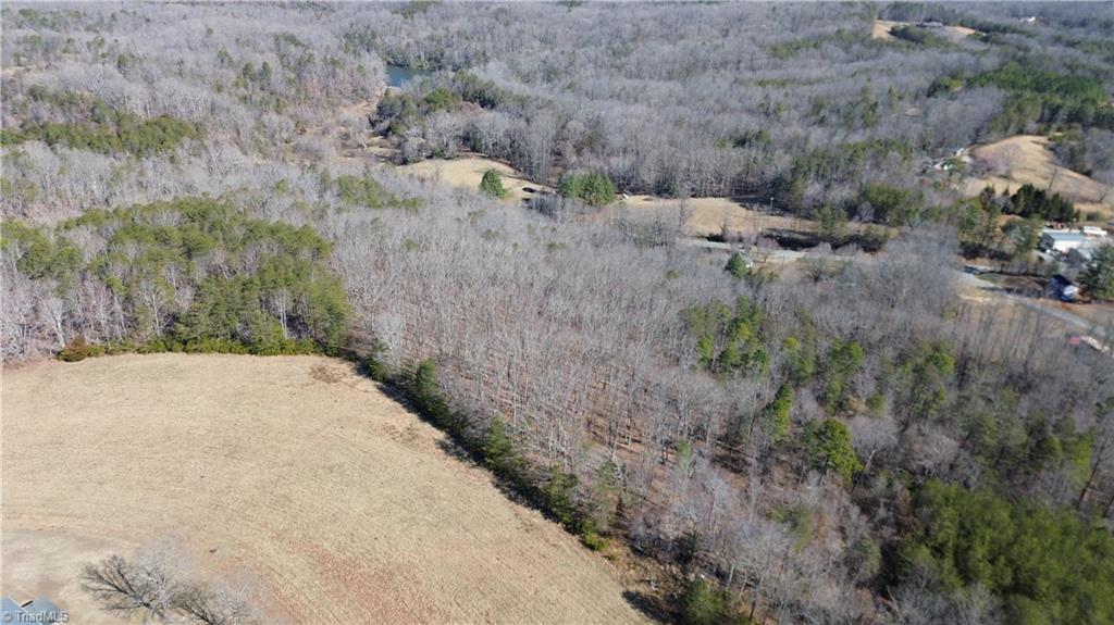 Tract G Hanging Rock Forest Road # G Property Photo 10