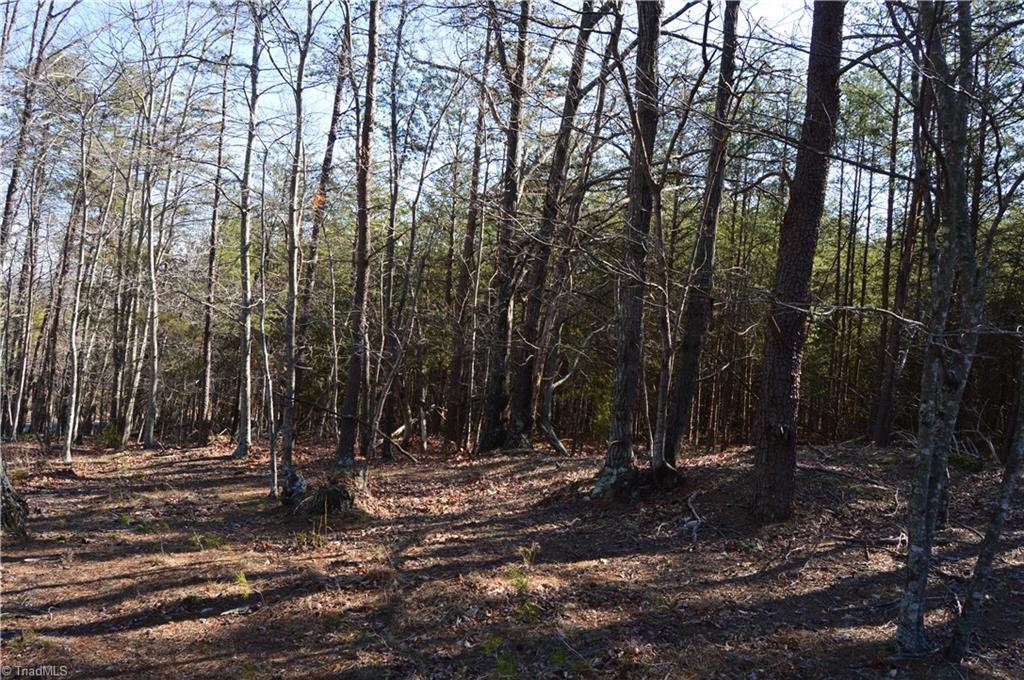 Tract G Hanging Rock Forest Road # G Property Photo 11