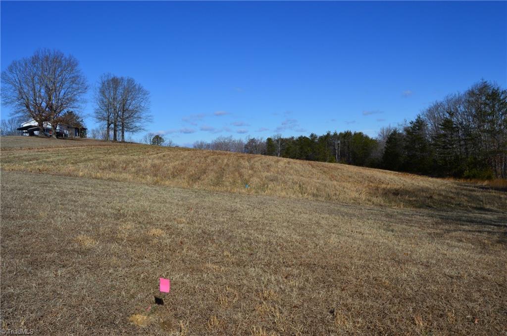 Tract G Hanging Rock Forest Road # G Property Photo 12