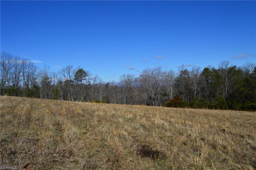 Tract G Hanging Rock Forest Road # G Property Photo 13