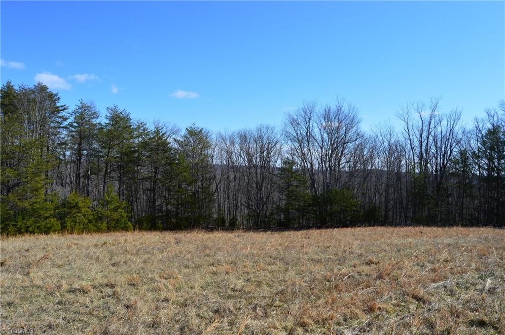 Tract G Hanging Rock Forest Road # G Property Photo 14