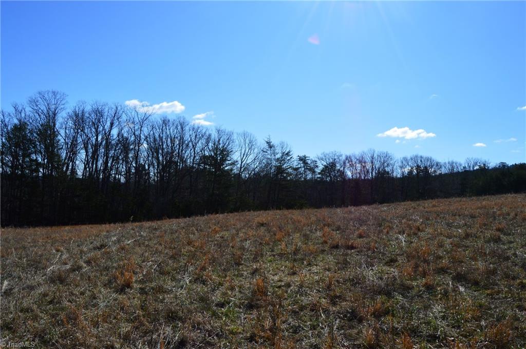 Tract G Hanging Rock Forest Road # G Property Photo 15