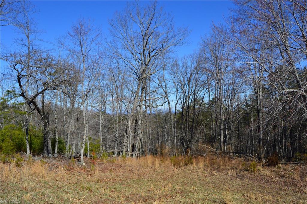 Tract G Hanging Rock Forest Road # G Property Photo 16