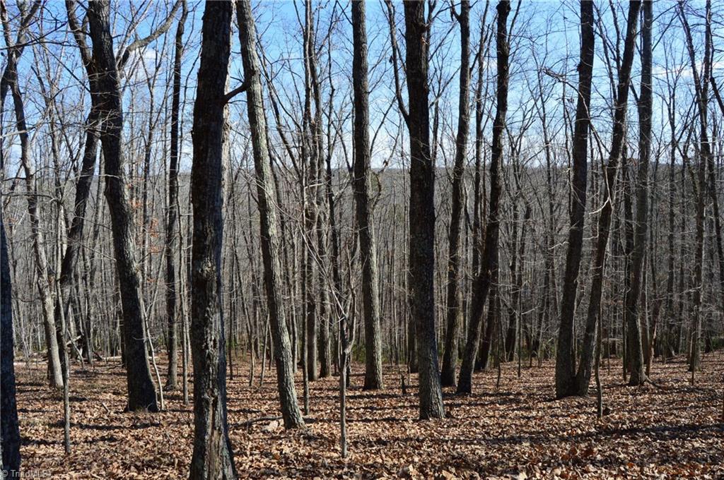 Tract G Hanging Rock Forest Road # G Property Photo 17