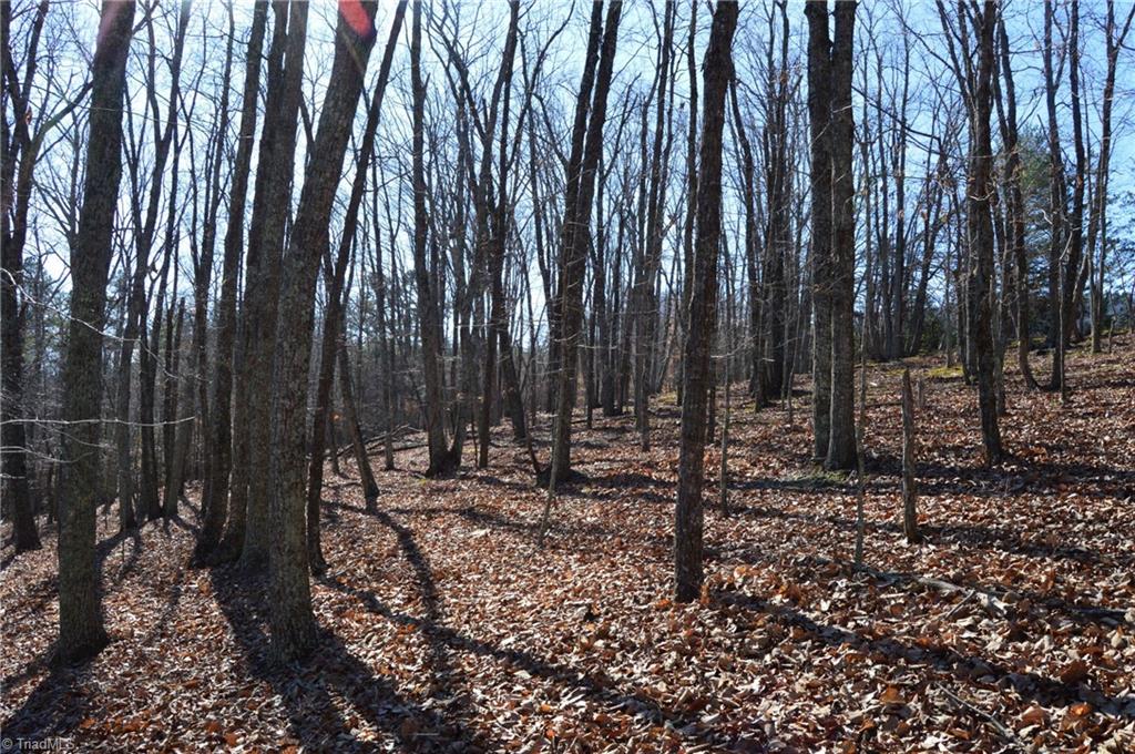 Tract G Hanging Rock Forest Road # G Property Photo 18