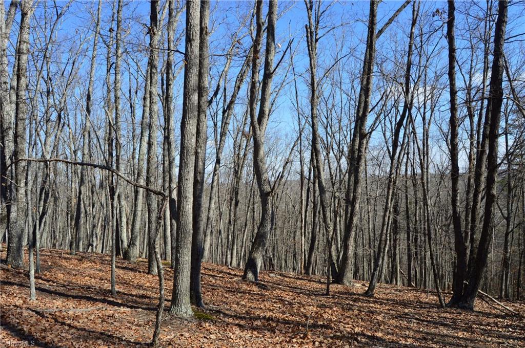 Tract G Hanging Rock Forest Road # G Property Photo 19