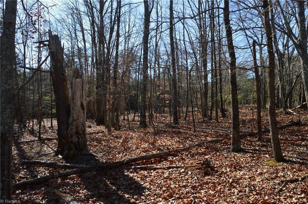 Tract G Hanging Rock Forest Road # G Property Photo 20