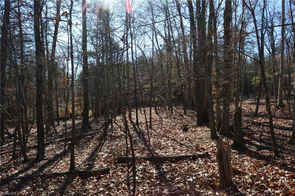 Tract G Hanging Rock Forest Road # G Property Photo 21