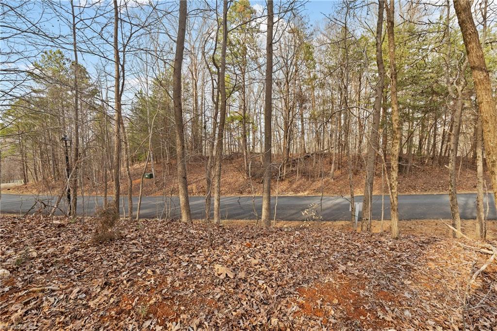 174 Mistral Lane Property Photo 7