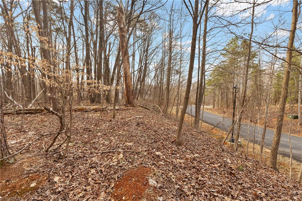 174 Mistral Lane Property Photo 8