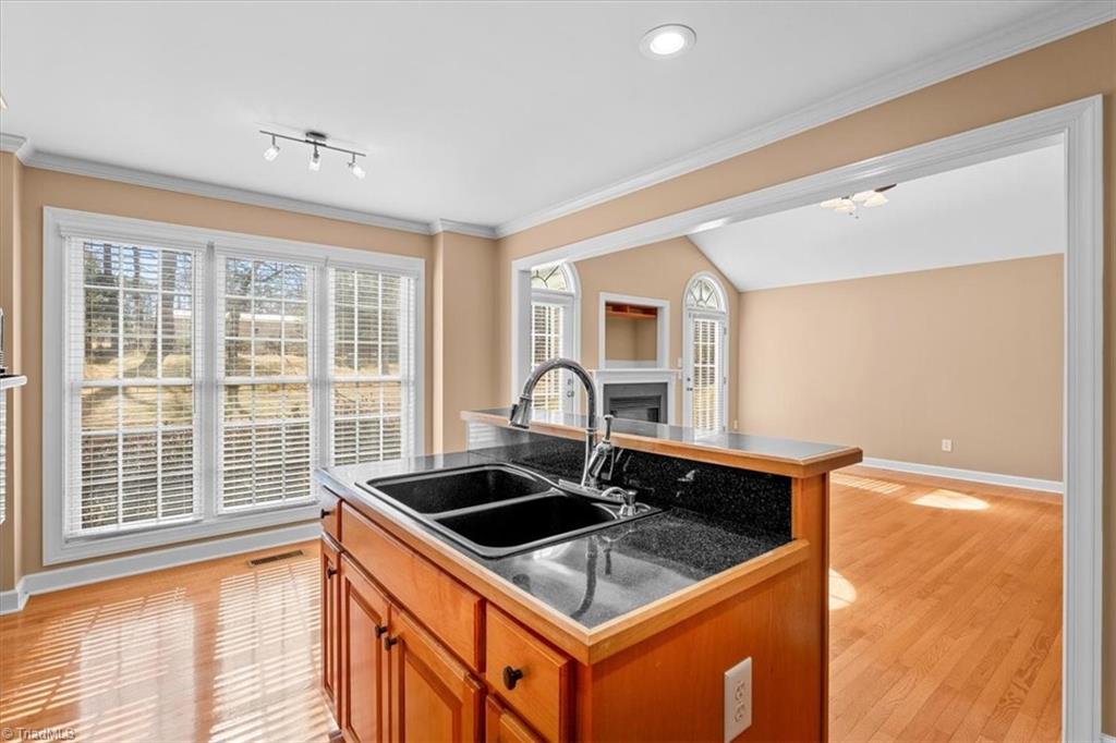 4528 Springbrook Drive Property Photo 13