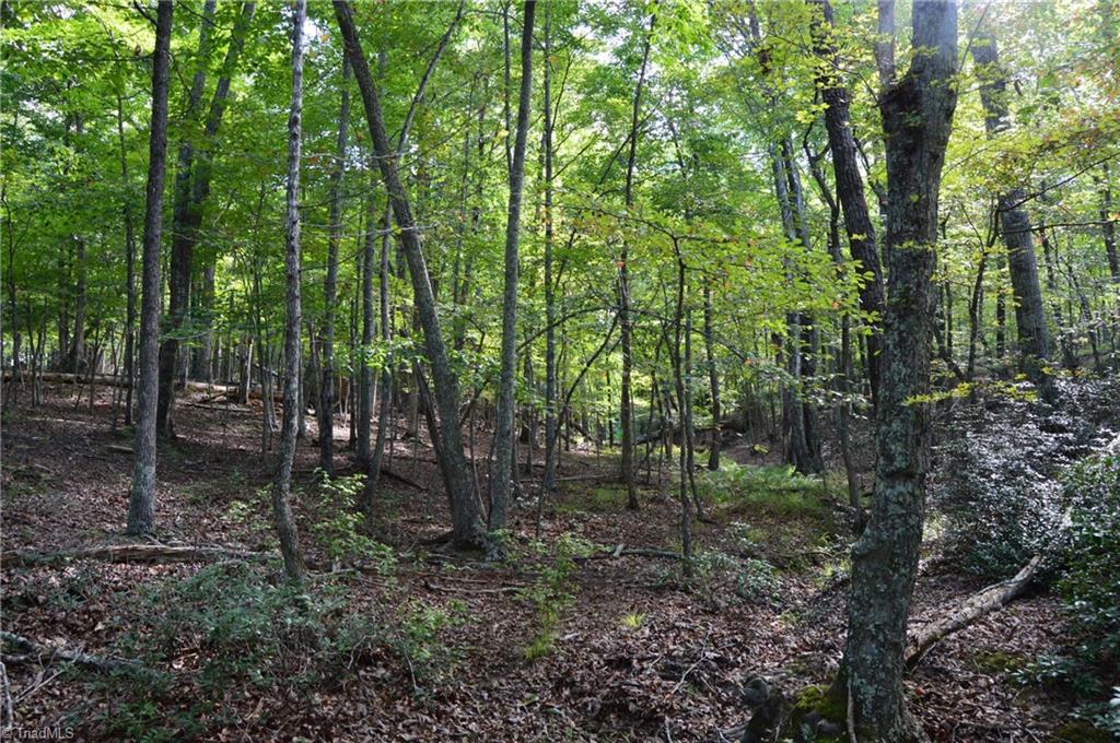 Tract E Hanging Rock Forest Road Property Photo 1