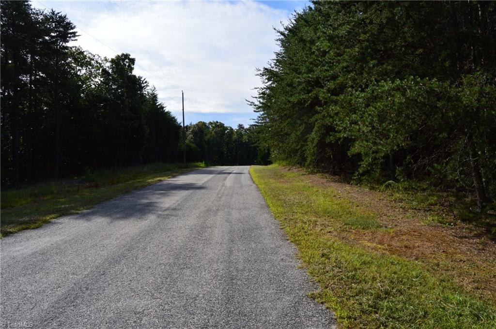 Tract E Hanging Rock Forest Road Property Photo 3