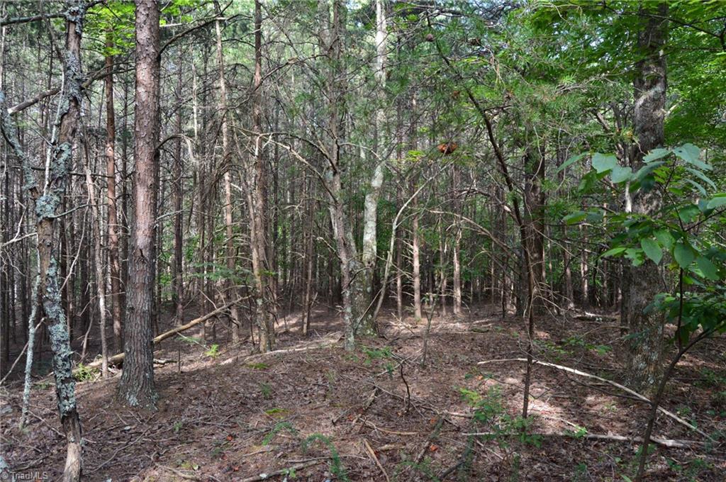 Tract E Hanging Rock Forest Road Property Photo 7