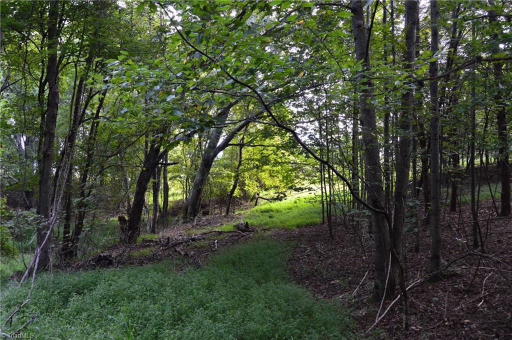 Tract E Hanging Rock Forest Road Property Photo 8