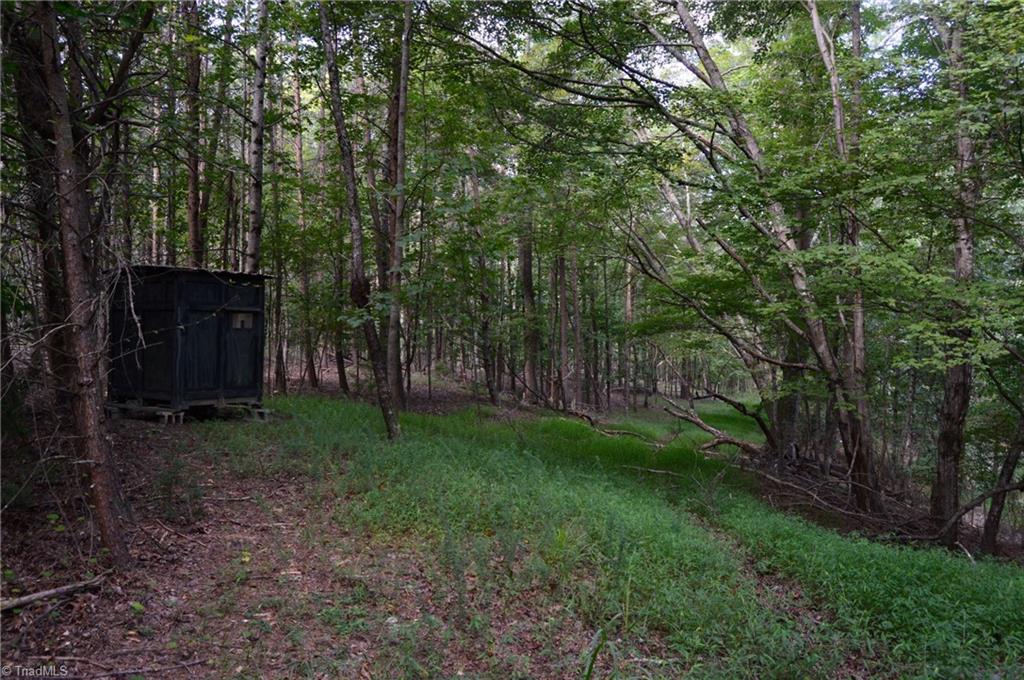 Tract E Hanging Rock Forest Road Property Photo 9