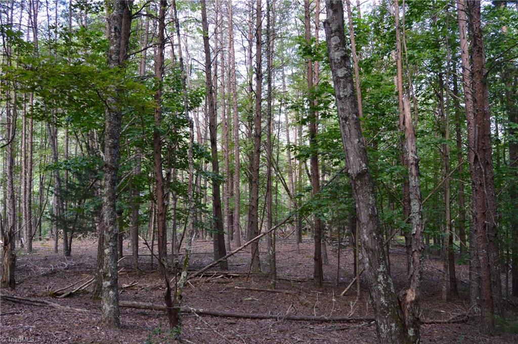 Tract E Hanging Rock Forest Road Property Photo 11