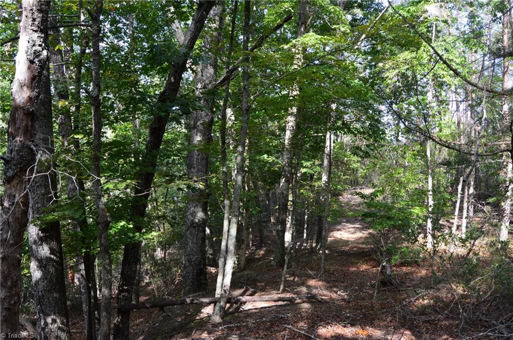 Tract E Hanging Rock Forest Road Property Photo 12