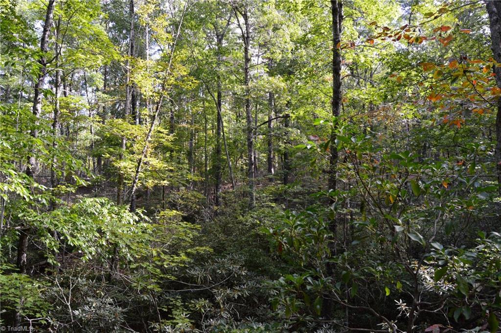Tract E Hanging Rock Forest Road Property Photo 13