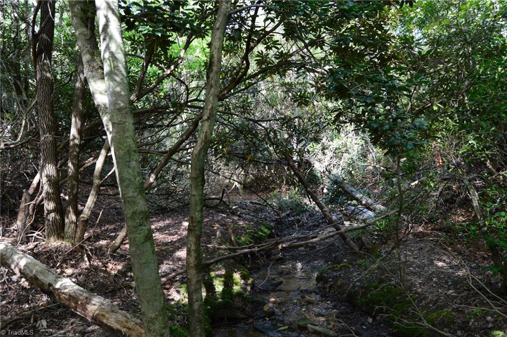 Tract E Hanging Rock Forest Road Property Photo 14