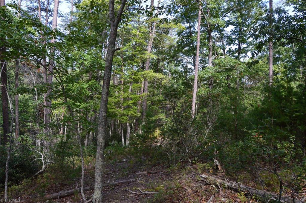 Tract E Hanging Rock Forest Road Property Photo 15