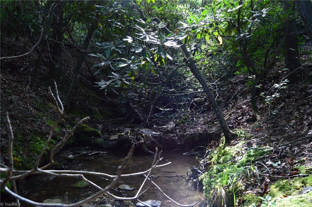 Tract E Hanging Rock Forest Road Property Photo 16