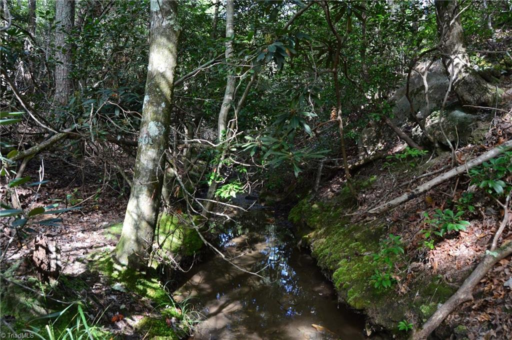 Tract E Hanging Rock Forest Road Property Photo 17