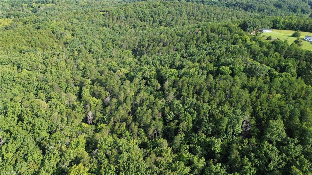 Tract E Hanging Rock Forest Road Property Photo 18