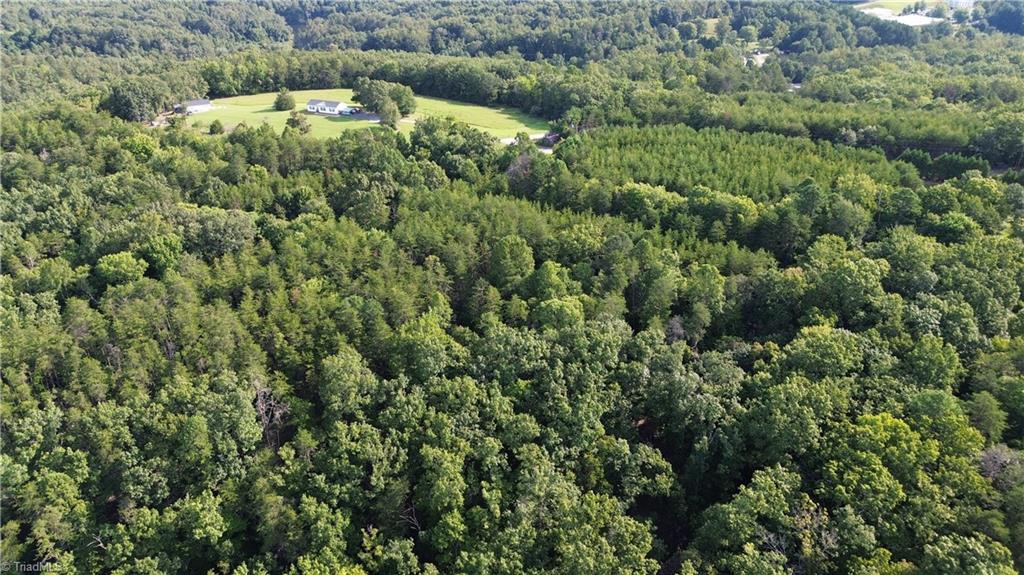 Tract E Hanging Rock Forest Road Property Photo 19