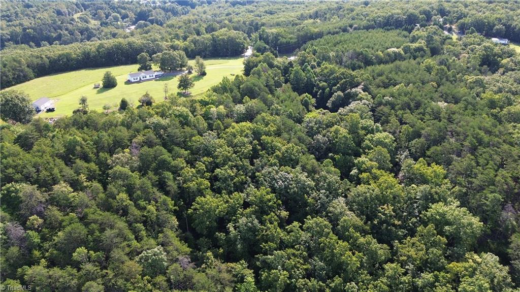 Tract E Hanging Rock Forest Road Property Photo 21