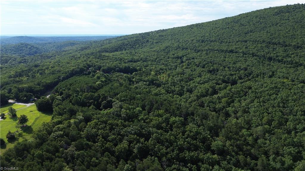 Tract E Hanging Rock Forest Road Property Photo 22
