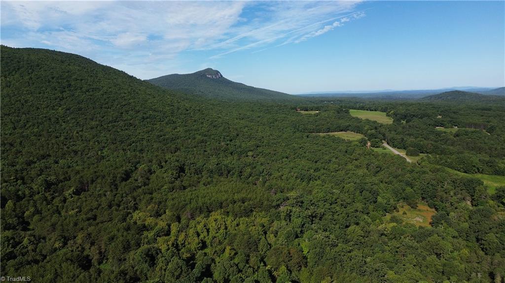 Tract E Hanging Rock Forest Road Property Photo 23