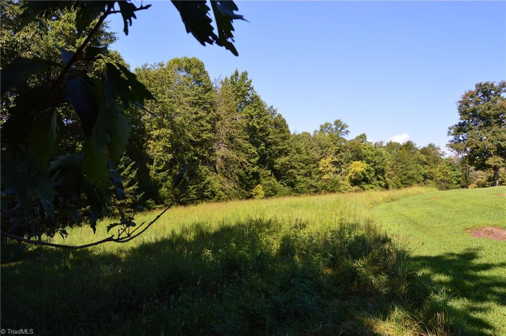 Tract D Hanging Rock Forest Road # D Property Photo 1
