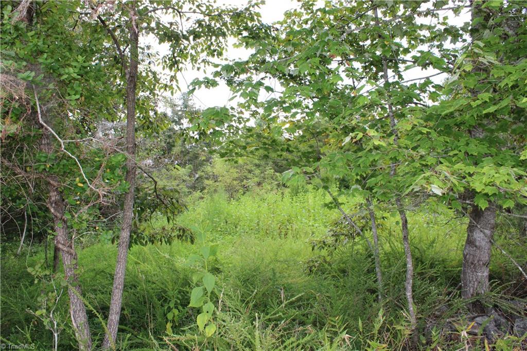 1662 Ralph Joyce Road Property Photo 27